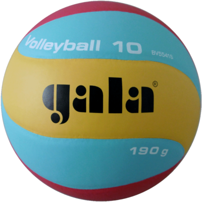 Stoffig Gemarkeerd Erfgenaam Gala Volleybal Jeugd V190 BV 5541S Indoor voor €27,45 incl BTW excl  verzendkosten