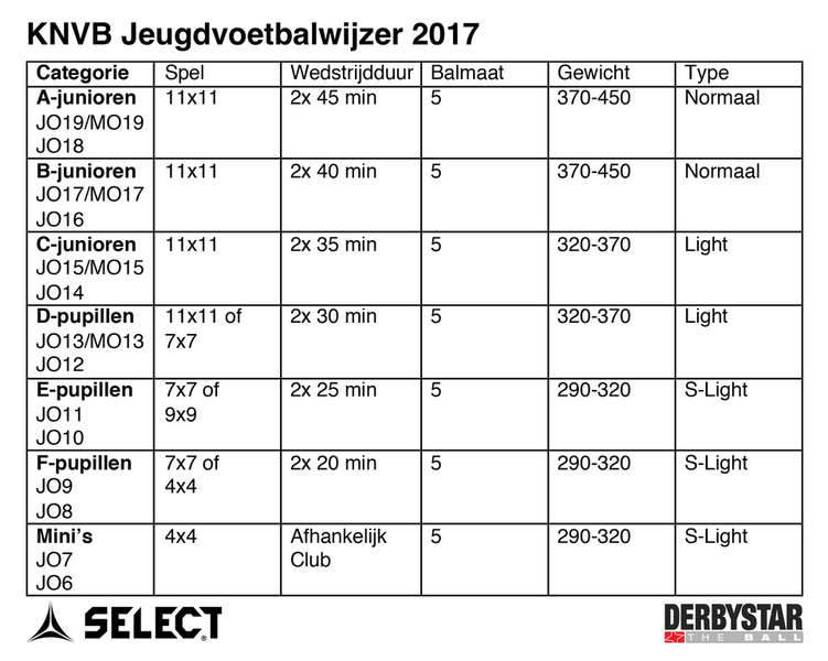 Wrak plank Persoon belast met sportgame DerbyStar Apus Pro S-Light vanaf € 17,95 incl. BTW excl. verzendkosten
